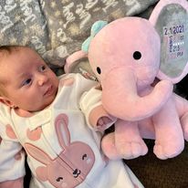 Birth Statistic Elephant
